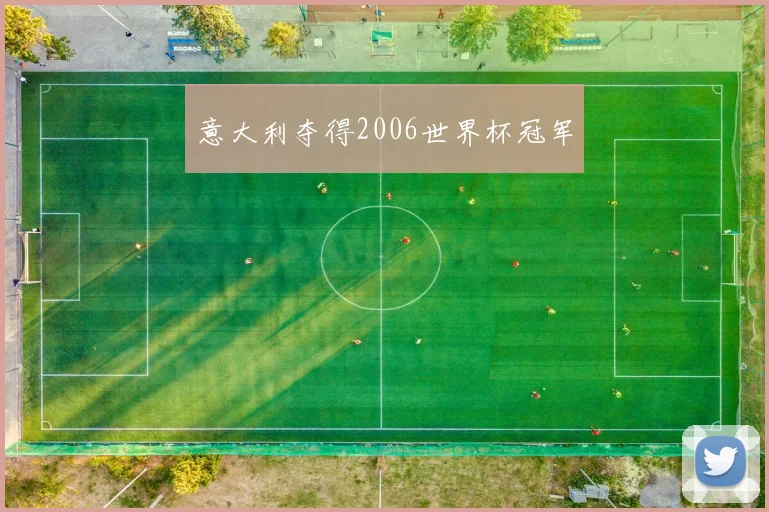 意大利夺得2006世界杯冠军