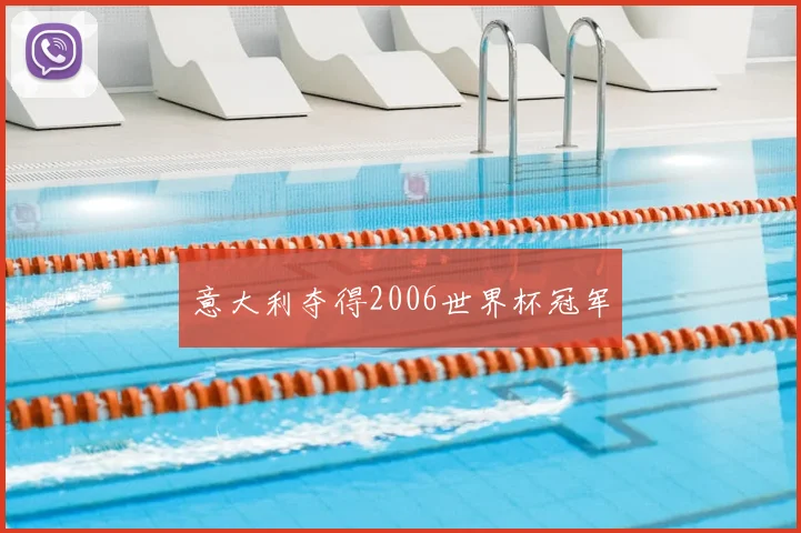 意大利夺得2006世界杯冠军