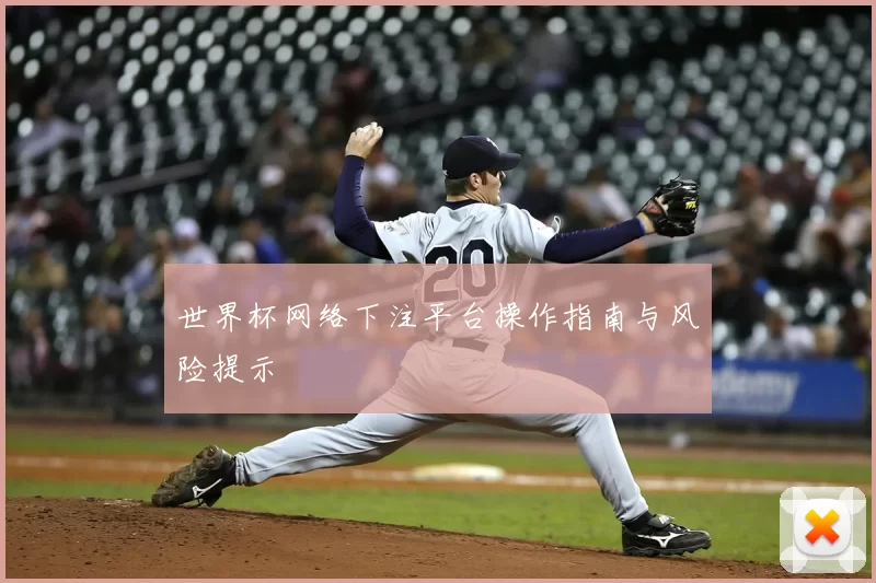 世界杯网络下注平台操作指南与风险提示